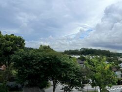 Raffles Park (D11), Detached #453038861